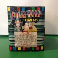 Hollywood Trip